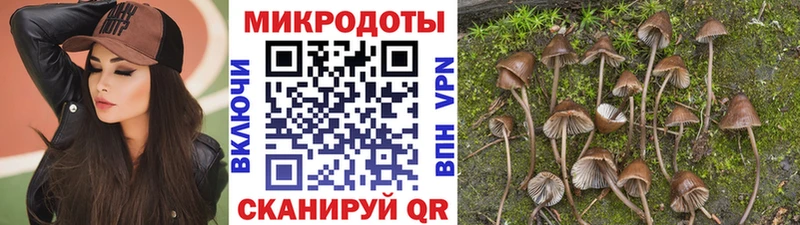 Купить закладки Сураж Псилоцибиновые грибы Magic Shrooms